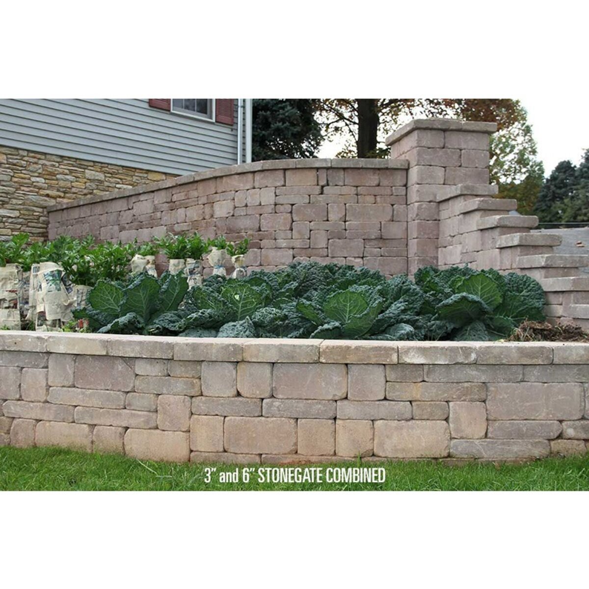 Keystone Stonegate Wall Tumbled 3 pc. Magnolia Blend 6 in. 6 in. x 10 ...