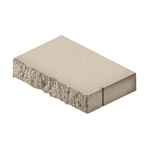 Keystone Regal 3 in. Rectangle Wall Cap Earth Blend (48 pc./pallet)