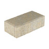 Keystone Holland Stone Paver Platinum Face Mix Truckee Blend 4 in. x 8 in. 60 mm (103 sq. ft./pallet)