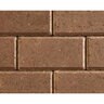 Keystone Bullnose Dark Brown 12 in. x 6 in. 60 mm (208 pc./pallet)