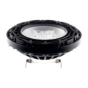 Kichler Wet Location Lamp PAR36 6W ANSI 60 Degree 3000K