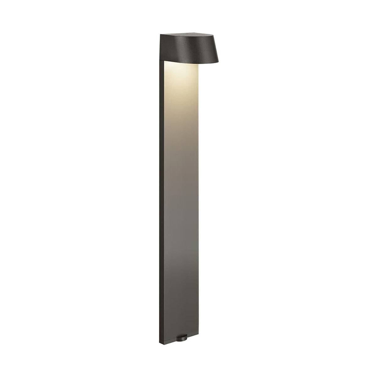 12 Volt 3000K LED 23.6