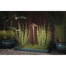 Kichler 15802 Path Light Aluminum Tannery Bronze Finish 3.8W 3000K LED