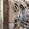 King DryConn Black/White Waterproof Connectors (25/Bag)