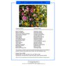 LESCO Florida Wildflower Mixture Seed Bulk