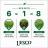 LESCO 6-1-8 70% PolyPlus OPTI45 2.25% Fe 1.6% Mg PCSOP K-Mag Gypsum Turfgrass Granular Fertilizer 1 ton (2,000 lb.) Bulk