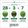 LESCO 28-3-7 40% PolyPlus OPTI45 3.5%Fe 2.5%Mn 2.38%S DAP SOP Turfgrass Granular Fertilizer 50 lb. Bag