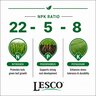 LESCO 22-5-8 35% PolyPlus 1% Fe 10.34% S Turfgrass Granular Fertilizer 50 lb. Bag