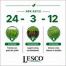 LESCO 24-3-12 80% PolyPlus OPTI 1%Fe 1%S SOP Turfgrass Mini Granular Fertilizer 50 lb. Bag