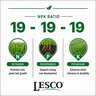 LESCO 19-19-19 AM MOP Turfgrass Granular Fertilizer 50 lb. Bag