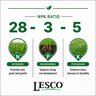 LESCO 28-3-5 95% PolyPlus 1%Fe 1.805%S SOP Turfgrass Mini Granular Fertilizer 50 lb. Bag