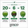 LESCO 20-6-12 PolyPlus OPTI 0.75%Fe 0.4%Mn PCSOP SOP Landscape & Ornamental Granular Fertilizer 40 lb. Bag