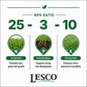 LESCO 25-3-10 AS 2% S PCSCU Urea AS MonoAP MOP Turfgrass Granular Fertilizer 50 lb. Bag