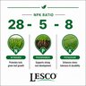 LESCO 28-5-8 AM 4% Fe 3.84% S Polymer Coated Urea, Ammonium Sulfate, SOP, Ammoniated Phosphate, Iron Sucrate Turfgrass Granular Fertilizer 50 lb. Bag