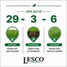 LESCO 29-3-6 90% NOS Plus 3% Fe 2% Mn MOP Turfgrass Granular Fertilizer 50 lb. Bag