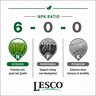 LESCO Green Flo 6-0-0 10% Ca Turfgrass Liquid Fertilizer 2.5 gal. Jug