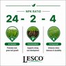 LESCO 24-2-4 70% NOS PLUS Spar-TECH 0.5Fe 0.25Mn AS MOP Turfgrass Granular Fertilizer 50 lb. Bag