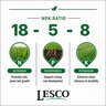 LESCO 18-5-8 100% Coated Homogenous Spar-TECH 0.01%B 0.18%Fe 1.1%Mg 0.06%Mn 3.6%S Nursery Granular Fertilizer 50 lb. Bag (360 day)
