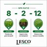 LESCO 8-2-12 90% Polyplus OPTI45 Spar-TECH KMAG SOP Palm & Tropical Ornamental Granular Fertilizer 50 lb. Bag
