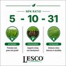 LESCO 5-10-31 AM Spar-TECH 0.5% Fe MOP Turfgrass Granular Fertilizer 50 lb. Bag