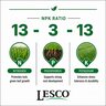 LESCO 13-3-13 40% PolyPlus OPTI45 Spar-TECH 0.5% Fe 0.5% Mg 0.4% Mn 0.03% B KMAG Palm & Tropical Ornamental Granular Fertilizer 50 lb. Bag