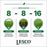 LESCO Nutra-TECH 8-8-16 40% SRN 3% S Turfgrass Liquid Fertilizer