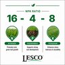 LESCO 16-4-8 AM 3% Fe 0.2% Mn PC Urea AS AP MOP IS MS Turfgrass Granular Fertilizer 50 lb. Bag