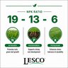 LESCO Color Blend 19-13-6 AM 2.82% Ca 1.45% Mg 2.63% S 0.02% Cu 2.6% Fe 0.15% Mn 0.0005% Mo 0.15% Zn Turfgrass Granular Fertilizer 25 lb. Bag