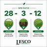 LESCO 28-3-12 50% MU AM 4.32% S 1.5% Fe 1% Mn Turfgrass Mini Granular Fertilizer 50 lb. Bag