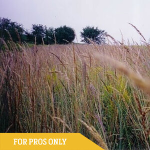 LESCO Native Tall Seed Mix (lb.)