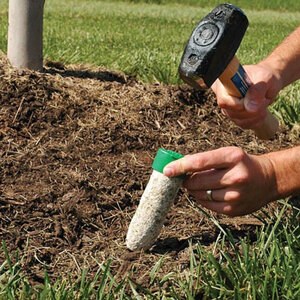 LESCO 11-3-4 3.9% CRN 4% Cl Evergreen Solid Tree Spike 165 pc. Packet