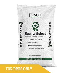 LESCO Shamrock Turf-Type Kentucky Bluegrass Seed 50 lb. Bag