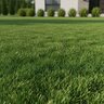 LESCO 12-0-10 AS 6%S MOP Turfgrass Granular Fertilizer 50 lb. Bag