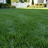 LESCO 24-0-11 50% PolyPlus OPTI45 Turfgrass Granular Fertilizer 50 lb. Bag