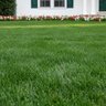 LESCO 14-20-4 20% PolyPlus OPTI45 30% BIO 2% Humate Turfgrass Granular Fertilizer 50 lb. Bag