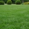 LESCO Florida Friendly K-Flow 0-0-25 Potassium Thiosulfate 17% S Turfgrass & Ornamental Liquid Fertilizer