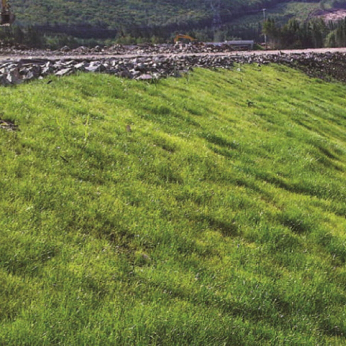 LSC Mesic Wood Hydromulch with Tack 50 lb. | SiteOne US