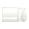 Lasco Hose Adapter IPS 3/4 in. Mht x 1/2 in. Slip