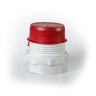 Lasco Outlet Adapter 1-1/4 in. Fipt x 1-1/4 in. Acme