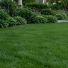 Lebpro All Minerla Starter Fertilizer 10-20-5 A/C Bio 1Fe