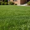 Lebanon Country Club 27-0-5 MESA 100% EXPO Turfgrass Mini Granular Fertilizer 50 lb. Bag