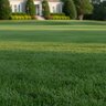 Lebanon Country Club MD 11-7-21 60% Meth-EX 2% Fe 1% Mg 1% Mn SOP Kelp Turfgrass Elite Granular Fertilizer 40 lb. Bag (QGCY)
