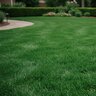Lebanon Country Club MD 12-24-8 40% Meth-EX 2.5%S SOP Kelp Starter Elite Granular Fertilizer 40 lb. Bag (QGCY)