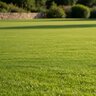 Lebanon Country Club MD 18-0-18 64% Meth-EX 1.6% Fe .5% Mg .5% Mn K-Mag SOP Kelp Turfgrass Granular Fertilizer 40 lb. Bag (QGCY)