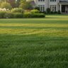 Lebanon ProScape Country Club Granular Fertilizer 20-0-10 60% MESA 100% EXPO 50 lb. Bag