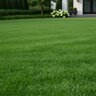 Country Club Fertilizer 10-18-18 Mini 64% Meth-Ex 0.5%Fe 0.5%Mg 0.25%Mn 50 lb.