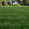 Lebanon Pro 18-24-12 30% CRN BIO MOP Starter Granular Fertilizer 50 lb. Bag