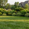 Lebanon Country Club 16-0-8 35% MESA AS SOP 8.9% Humic Turfgrass Mini Granular Fertilizer 50 lb. Bag