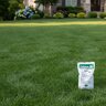 Lebanon Pro 13-0-4 30% CRN MOP Limestone Turfgrass Granular Fertilizer 50 lb. Bag