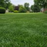 Lebanon Pro 17-0-3 20% CRN 3%Fe MOP Turfgrass Granular Fertilizer 50 lb. Bag